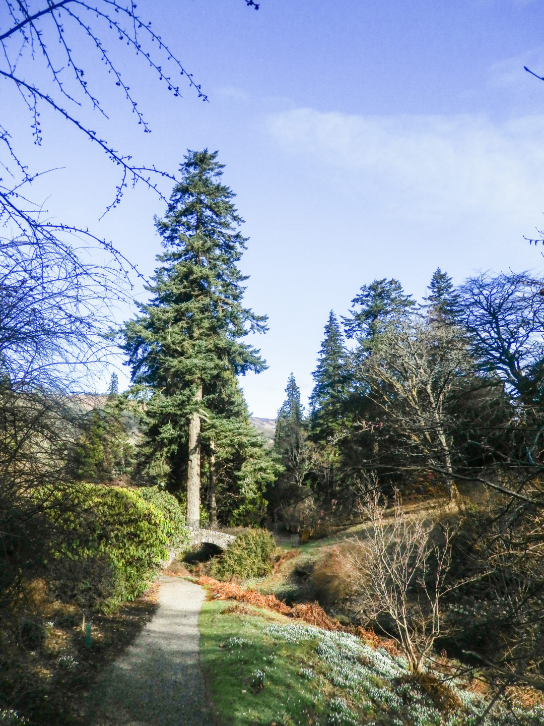 Dawyck Botanic Garden