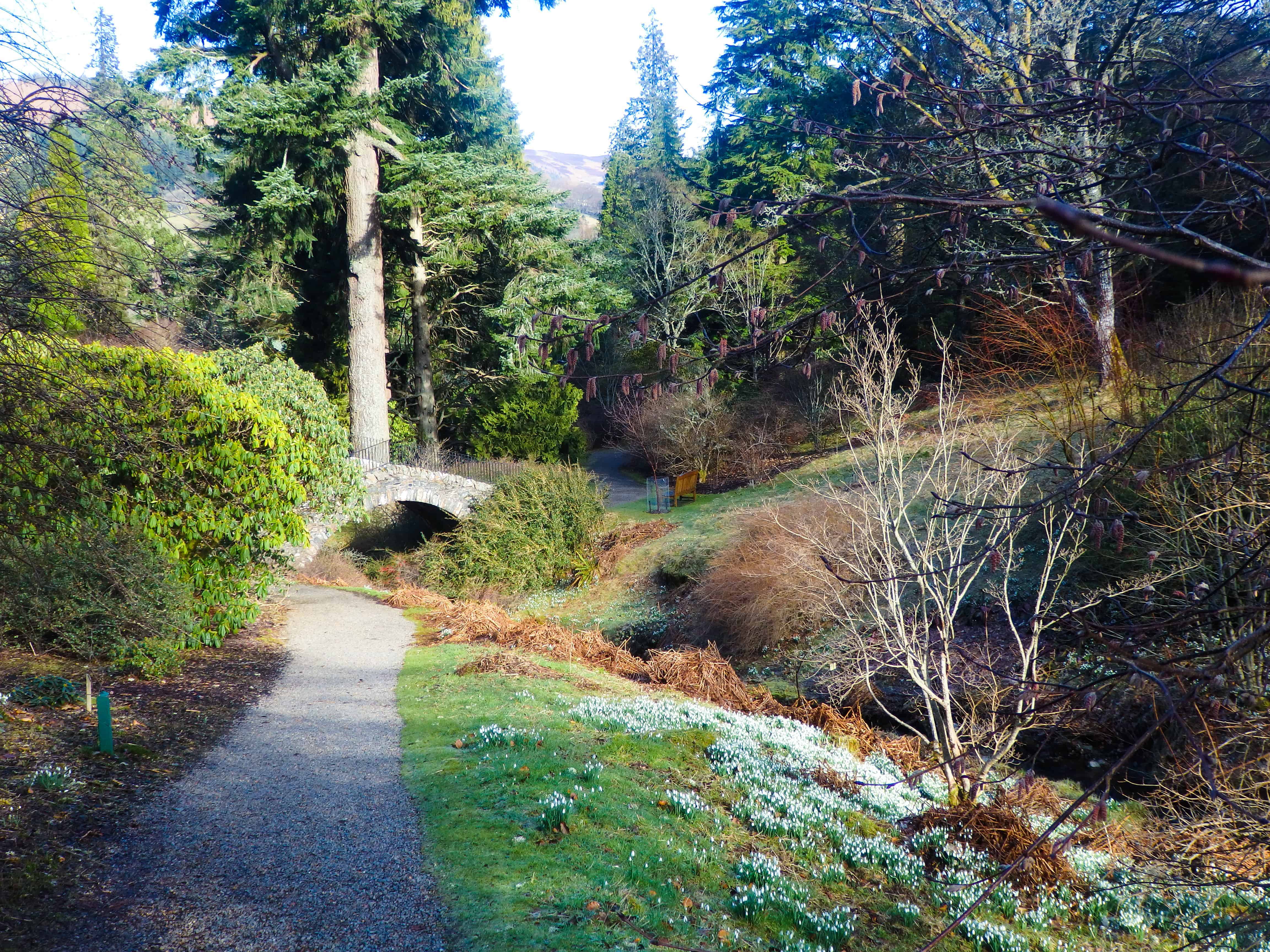 Dawdling at Dawyck Botanic Garden - Love, from Scotland