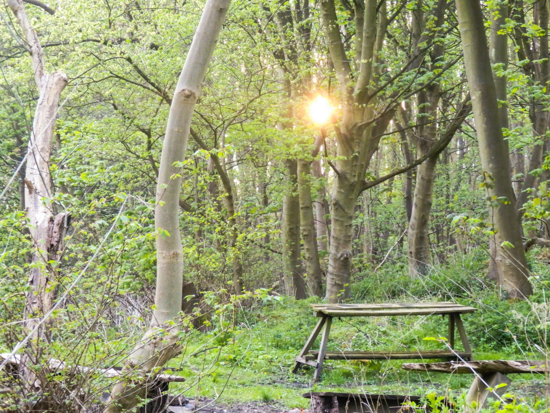 Gimme Shelter Campsite