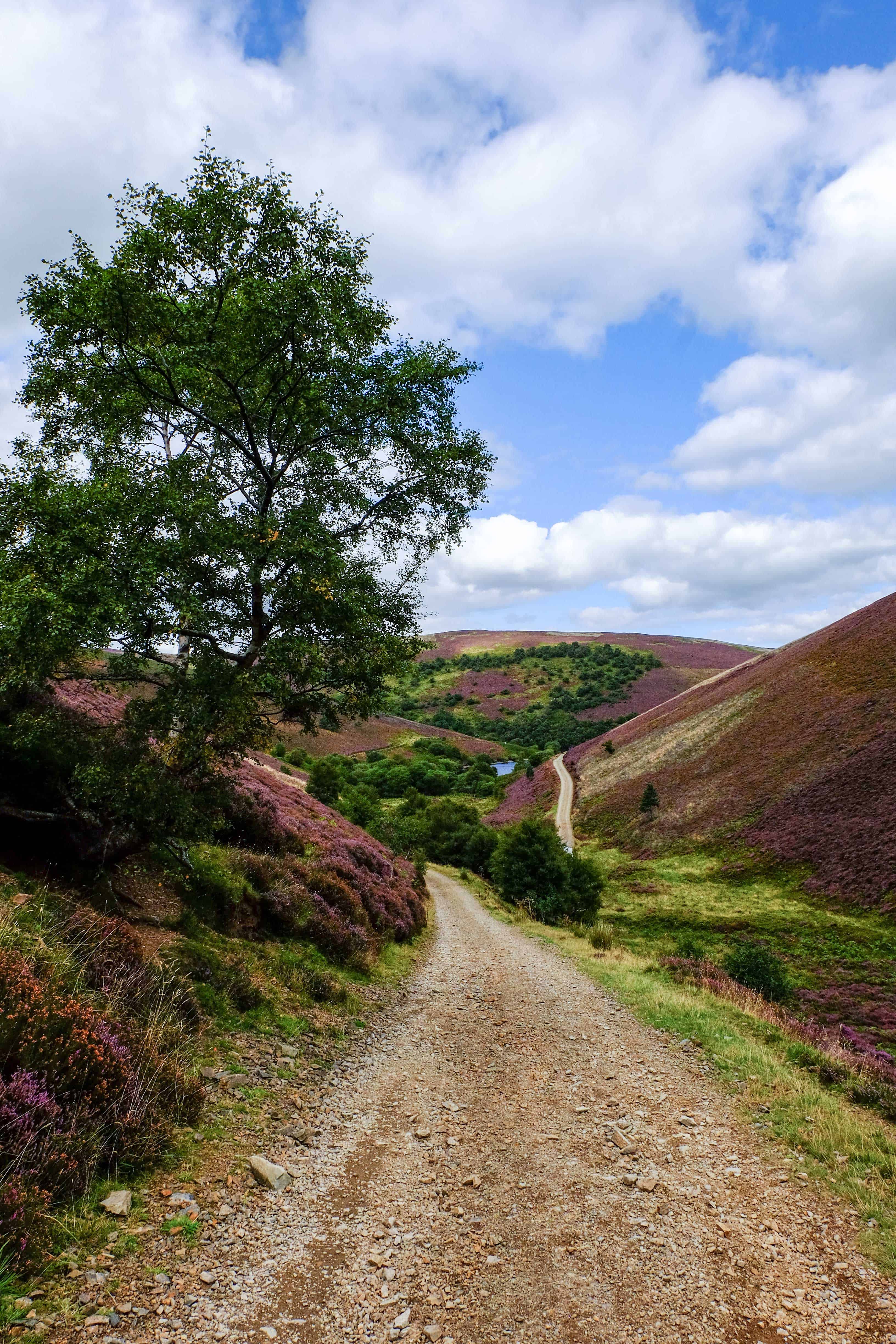 Lammermuir-Hills-3 - Love, from Scotland