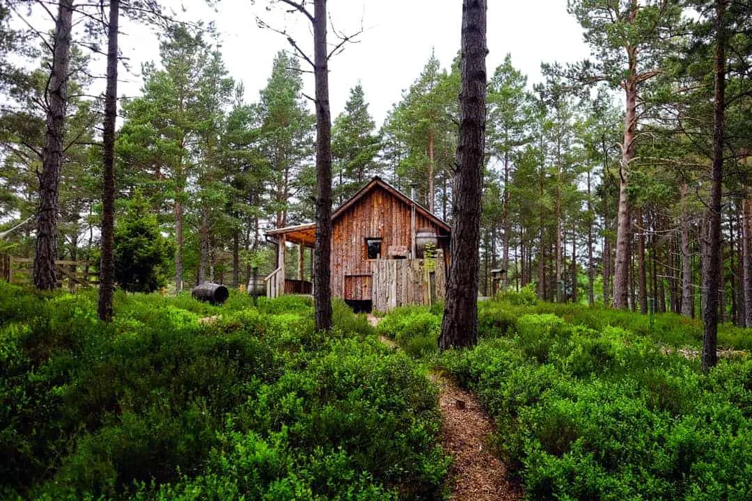 Log Cabins Scotland A Guide To Holiday Lodges In Scotland