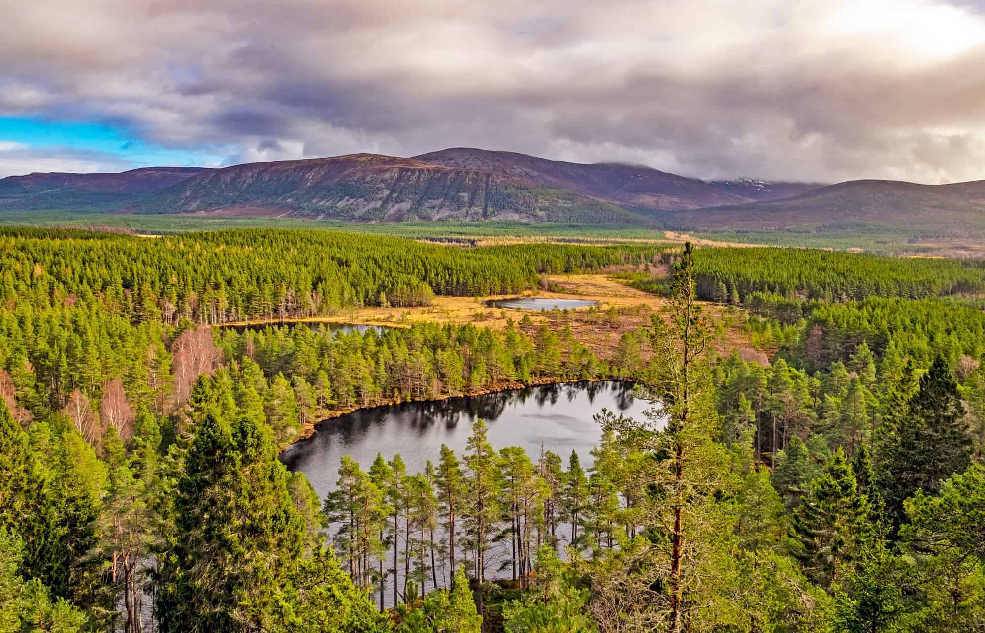 Things to do in Aviemore and the Cairngorms National Park 