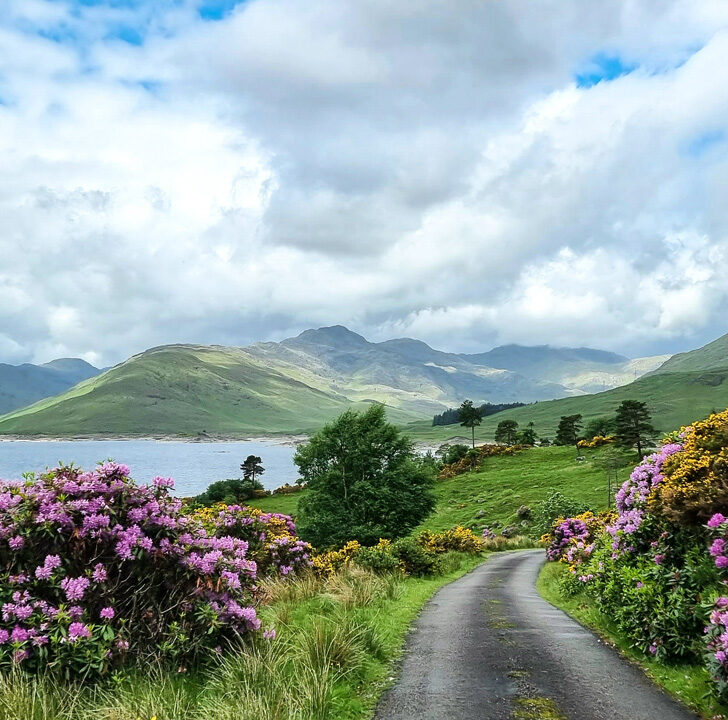 Drive to Kinloch Hourn