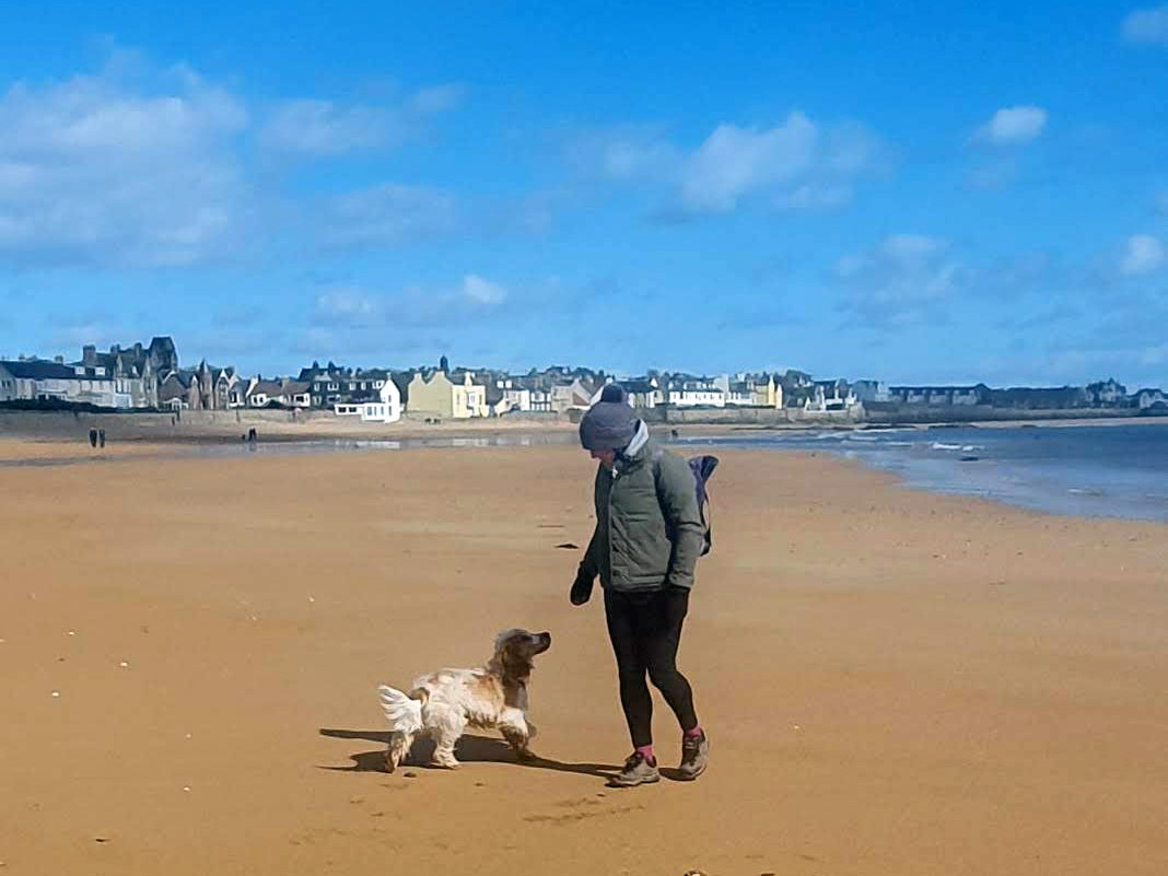 Dog friendly Fife - where to stay, eat, drink and visit with your dog