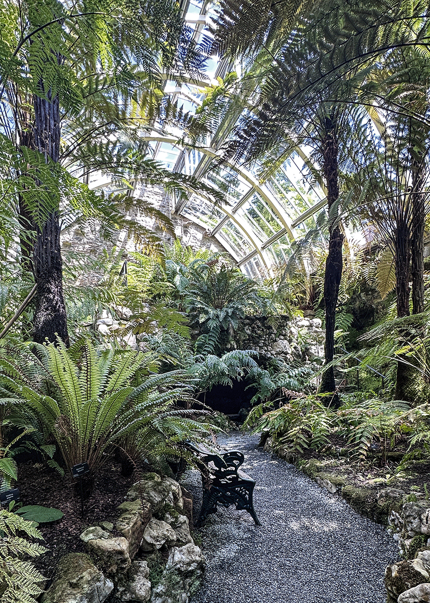 Benmore - botanical gardens Scotland